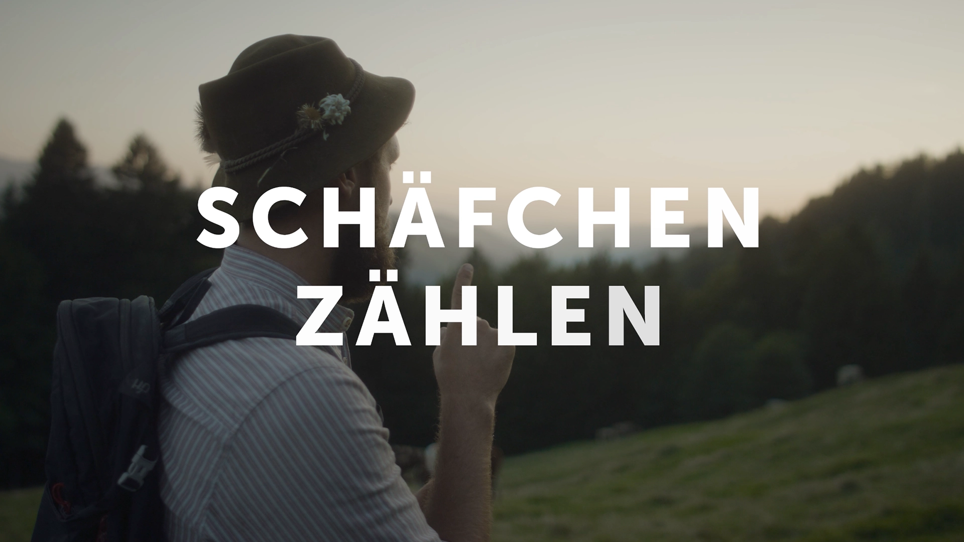 Schäfchen zählen